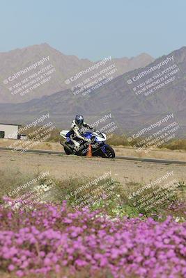 media/Feb-04-2023-SoCal Trackdays (Sat) [[8a776bf2c3]]/Turn 15 Inside Blooming (1050am)/